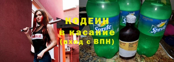 крисы Абаза