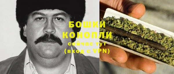 ПСИЛОЦИБИНОВЫЕ ГРИБЫ Алексеевка