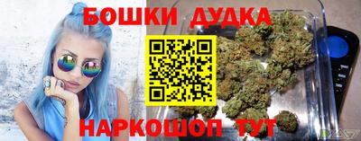 a pvp Бердск